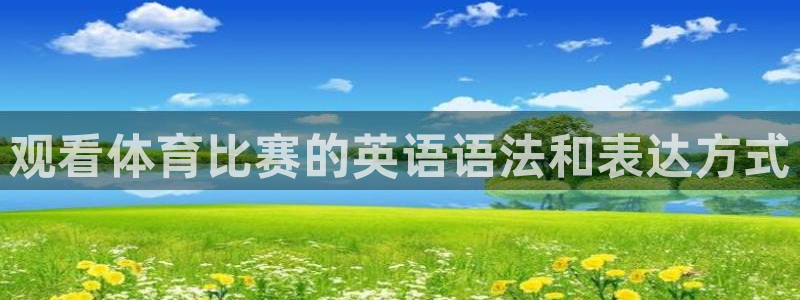 观看体育比赛的英语语法和表达方式