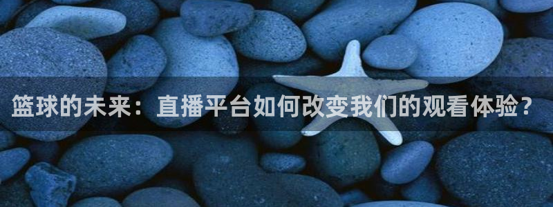 篮球的未来：直播平台如何改变我们的观看体验？