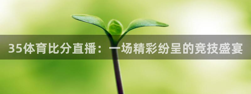 35体育比分直播：一场精彩纷呈的竞技盛宴